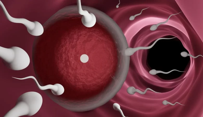 vitamin untuk kesuburan pria berfungsi untuk meningkatkan kualitas sperma
