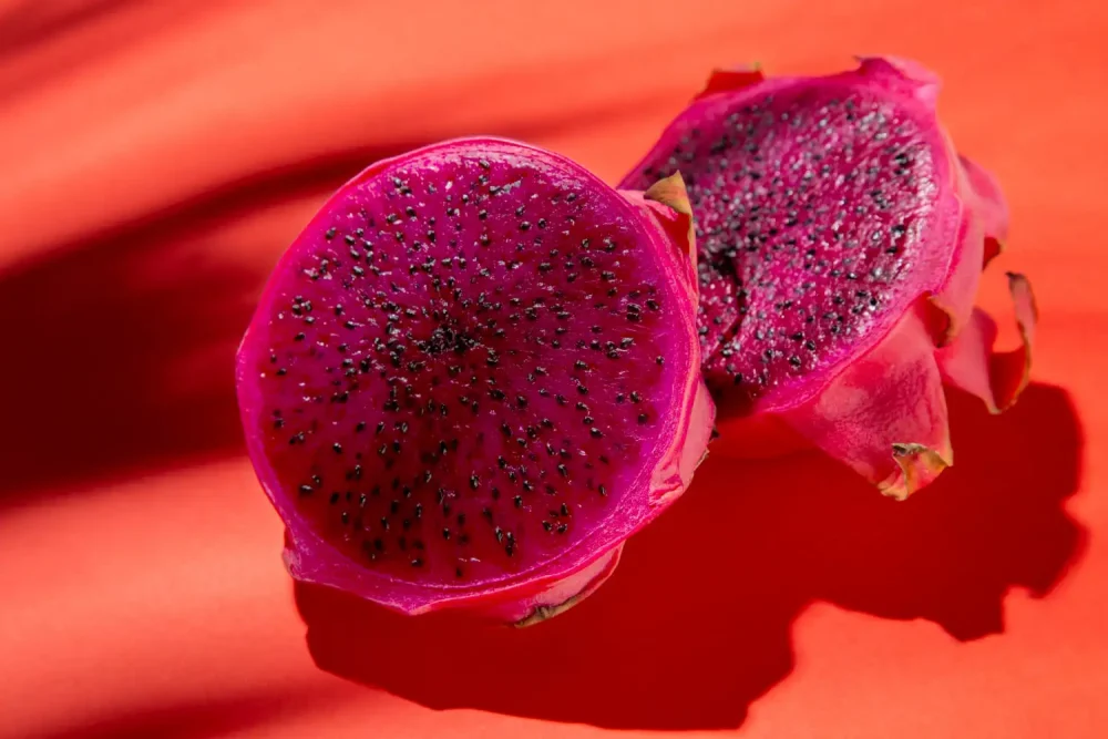buah naga